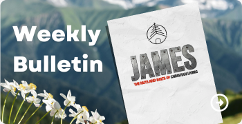 Header Image for Weekly News for Sunday, April 12, 2026